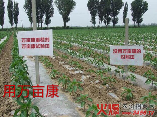 �����f(w��n)��������Ƽ����޹�˾