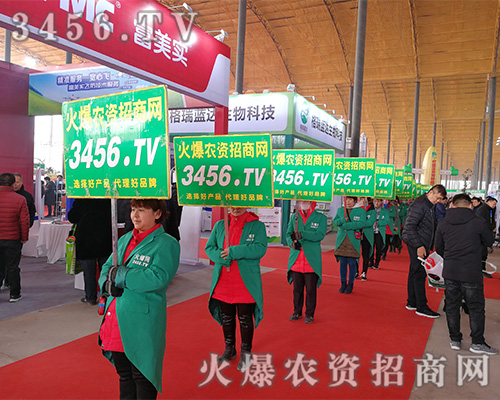 �R�������������2019�ӱ�ֲ����