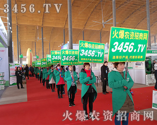 2019�ӱ�ֲ���������r(n��ng)�Y�W(w��ng)���������@ô�o����