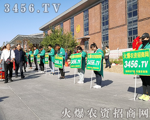 ���r(n��ng)�Y���̾W(w��ng)����ȭ����2019�L(zh��ng)���r(n��ng)�Y��(hu��)��