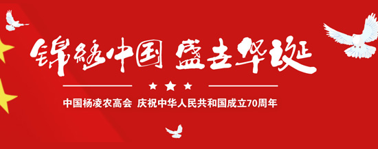 2019�����r(n��ng)�ߕ�ÿ��������_ʼ