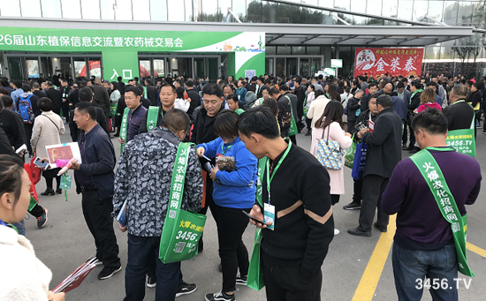 ��������Ч�������r�Y���̾W(w��ng)���ݳ���2019ɽ�|ֲ������