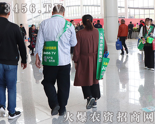 �R�������������2019ɽ�|ֲ������