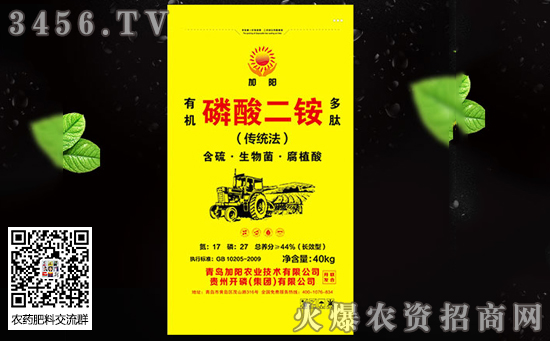 �������@ɶ�r������(n��i)������@�S�҈�r11-12