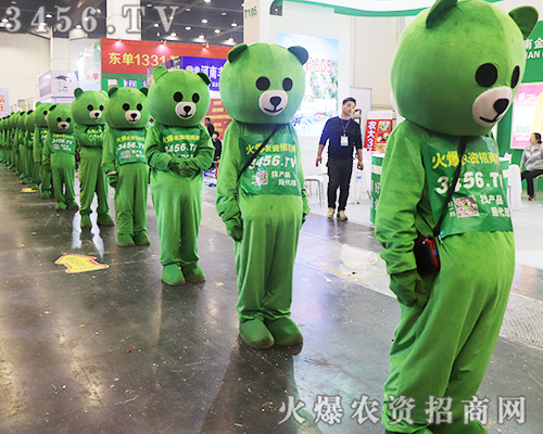 �����̏�(qi��ng)�݁��u���c����s2019����ʡֲ������