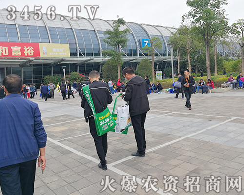 2019ֲ���������r�Y�W���������@ô�o����