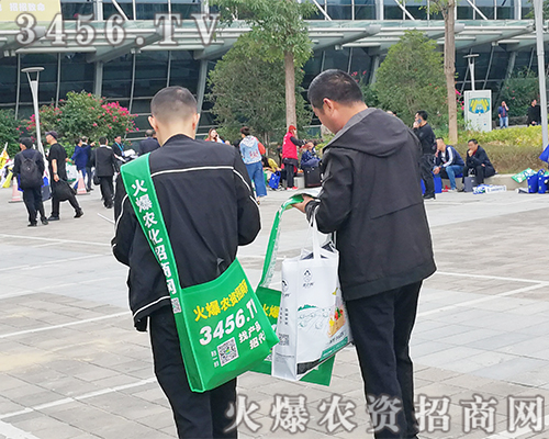 ��(zh��n)�����f�ɾ͸������r�Y�W����2019ֲ������