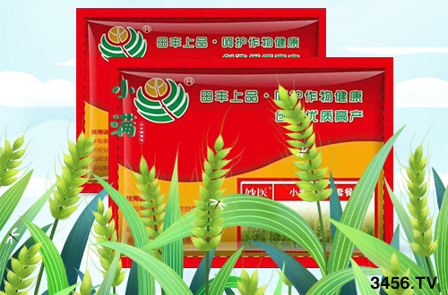 �o���l(f��)��������С���l�P����ǰ���l(f��)��ǧ�fҪ������