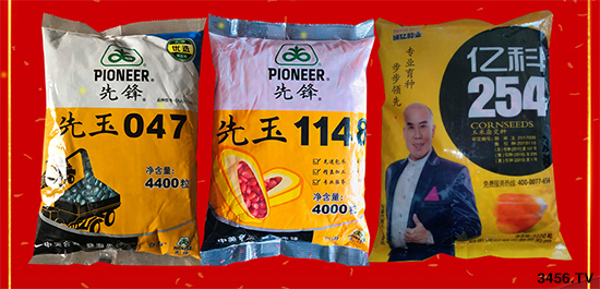 玉米購種季來臨,對種子有什么顧慮?看看不一樣的選種技巧! 玉米購種季來臨,對種子有什么顧慮?看看不一樣的選種技巧!