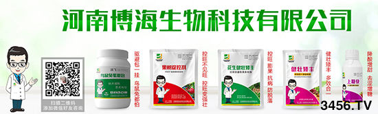 �������l(f��)չ��ף�R���ϲ��������״��c���r(n��ng)�Y���̾W(w��ng)�_(d��)�ɺ�����