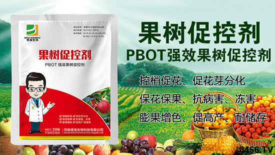 �������l(f��)չ��ף�R���ϲ��������״��c���r(n��ng)�Y���̾W(w��ng)�_(d��)�ɺ�����