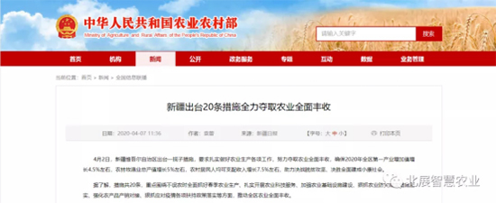 �����z·�N�I(y��)�l(f��)չ��2020�½������N����7��?li��n)P����