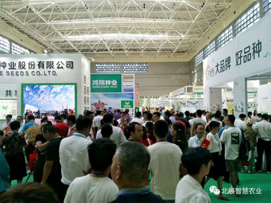 �����z·�N�I(y��)�l(f��)չ��2020�½������N����7��?li��n)P����