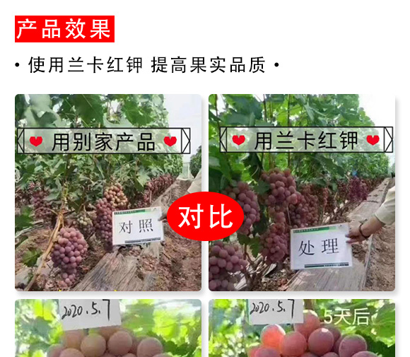 大量元素水溶肥料-蘭卡紅鉀-天之禾 大量元素水溶肥料-蘭卡紅鉀-天之禾