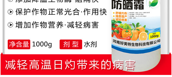 ֲ�����˪-������