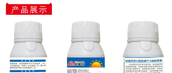 ֲ�����˪-������