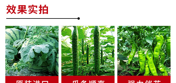 Ӣ��(gu��)ԭ���M(j��n)�ڹ��D�طN���ϴ���Ԫ��ˮ�ܷ�10-50-10+TE-��ɪ��