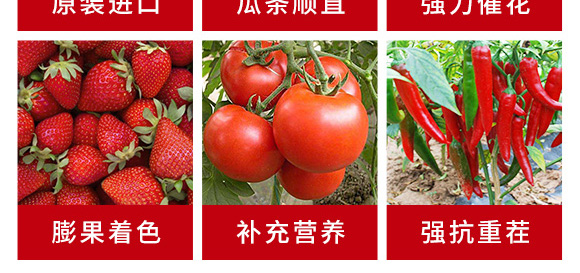 Ӣ��(gu��)ԭ���M(j��n)�ڹ��D�طN���ϴ���Ԫ��ˮ�ܷ�10-50-10+TE-��ɪ��