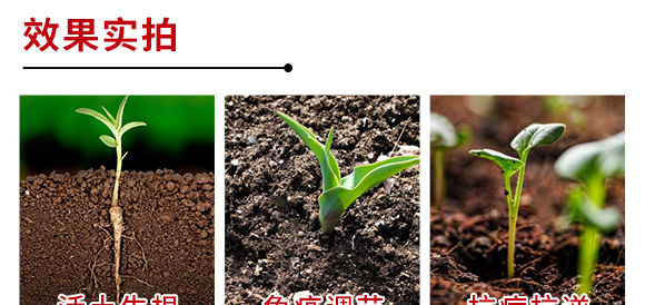 �M(j��n)�ڹ��D�����طN���Ϻ����ء������-��ɪ��