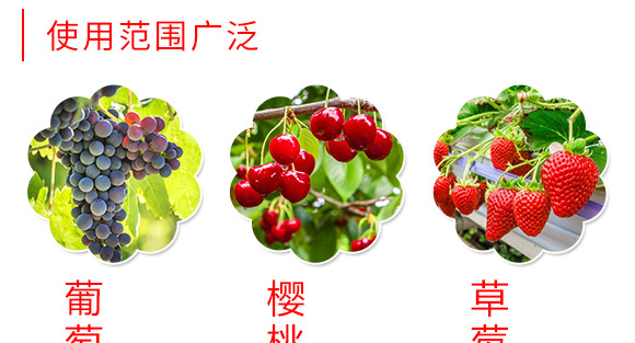 ΢��Ԫ��ˮ�ܷ�-��ɫ-��ķ˹��