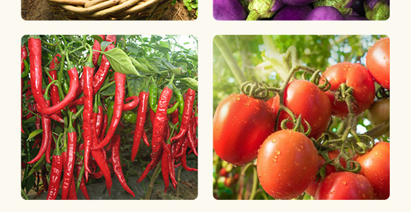 �r(n��ng)��΢���������һ̖(h��o)����-����S