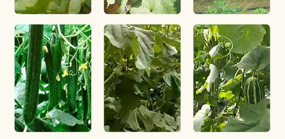 �r(n��ng)��΢���������һ̖(h��o)����-����S