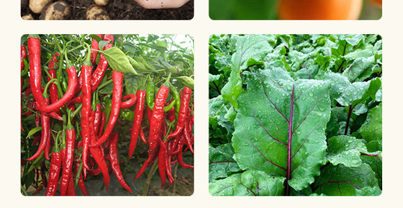 �߿�1̖(h��o)�����r(n��ng)��΢���������-����S