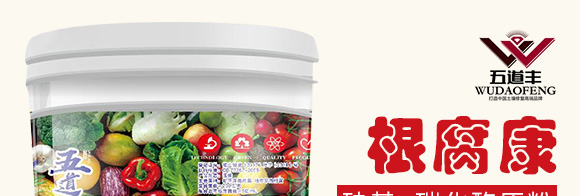 根腐康-五道豐 根腐康-五道豐