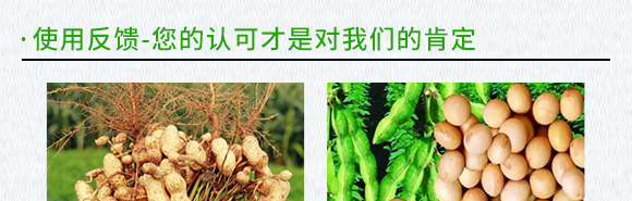 �������󶹌��ú�������ˮ�ܷ���-������-�Ƶ�