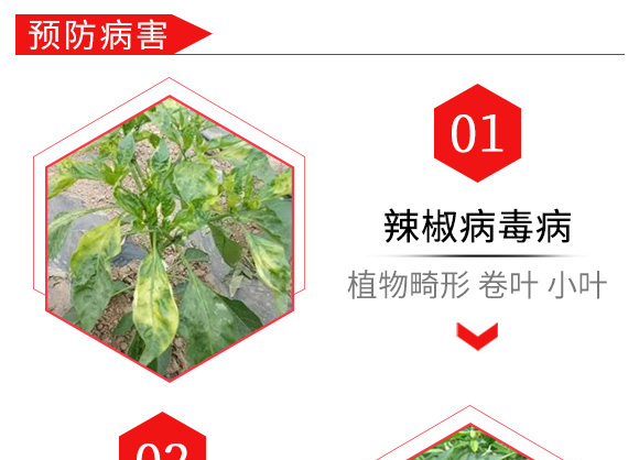 ϩ���u�������~��80g��-�����r(n��ng)��