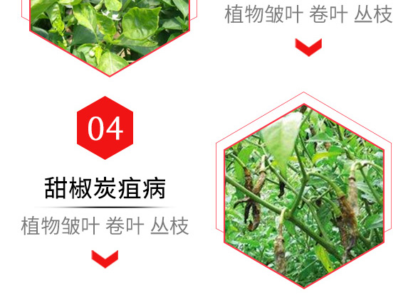 ϩ���u�������~��80g��-�����r(n��ng)��