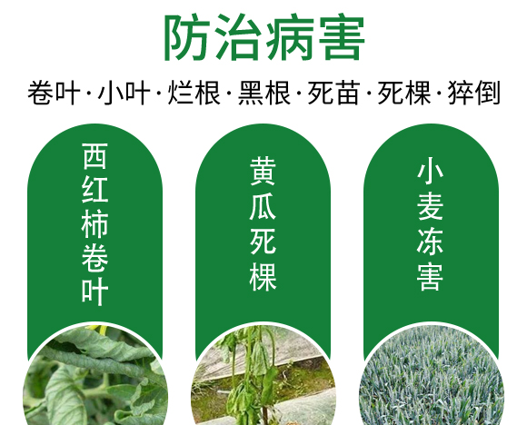 25ml�G�~���h-��@���S-���S�ʘI(y��)