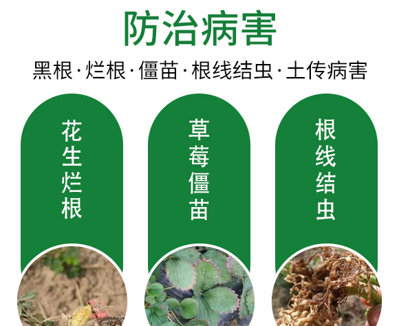 ���������-��@���S-���S�ʘI(y��)