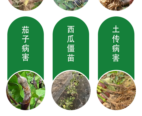 ���������-��@���S-���S�ʘI(y��)