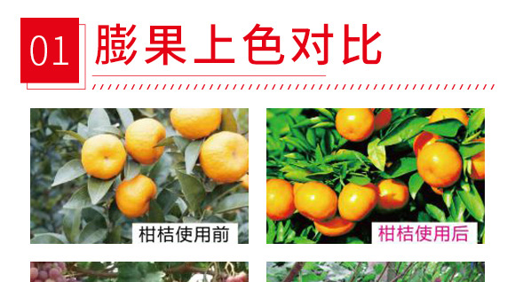 ̼ø�S�����-������-����