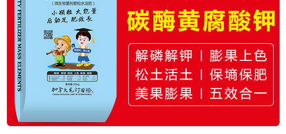 ̼ø�S�����-������-����