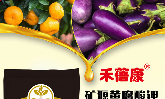 �VԴ�S�����-������-����