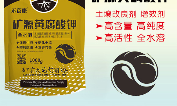 �VԴ�S�����-������-����