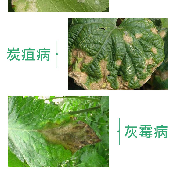 30ml�ݲݡ�ѿ�ߗU��-���t(y��)��-������