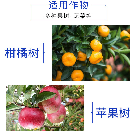 �V�V��ֲ�-⁘O-������