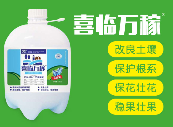 ����ֳ��ˮ�ܷ�170-170-170-ϲ�R�f(w��n)��-������