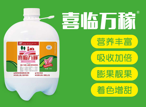 ����ֳ��ˮ�ܷ�60-100-400-ϲ�R�f��-������