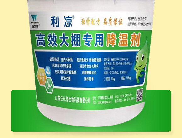 ����ý��؄�-����-�փ|��