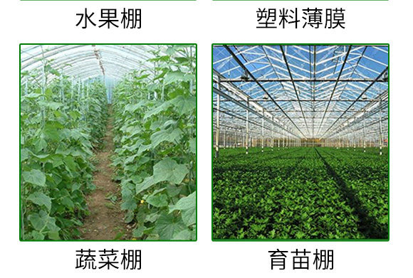 ����ý��؄�-����-�փ|��