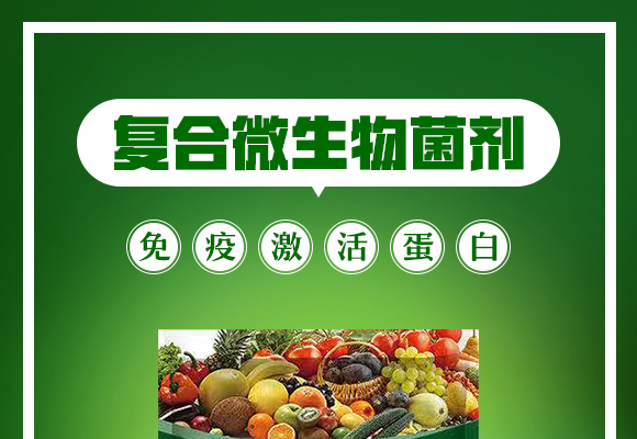 復(fù)合微生物菌劑-地護(hù)衛(wèi)-瑞邦化工 復(fù)合微生物菌劑-地護(hù)衛(wèi)-瑞邦化工
