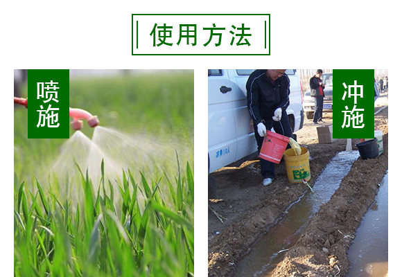 復(fù)合微生物菌劑-地護(hù)衛(wèi)-瑞邦化工 復(fù)合微生物菌劑-地護(hù)衛(wèi)-瑞邦化工