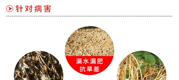 ΢�������-������-����̩