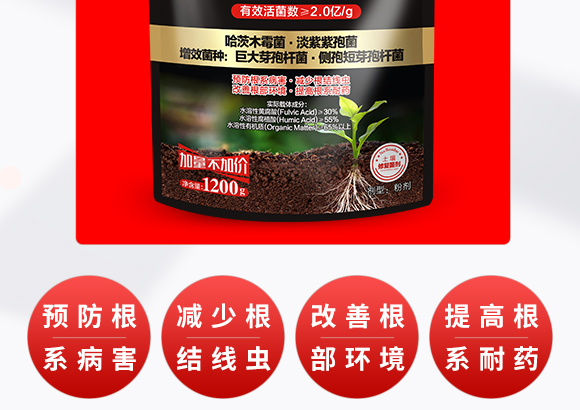 ΢�������-һ������-����̩