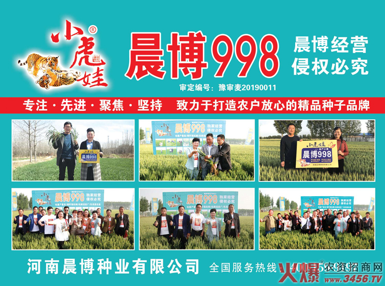 鏈爣棰?1.jpg 鏈爣棰?1.jpg