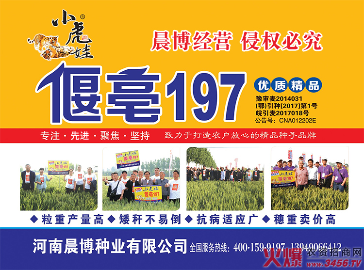 鏈爣棰?1.jpg 鏈爣棰?1.jpg